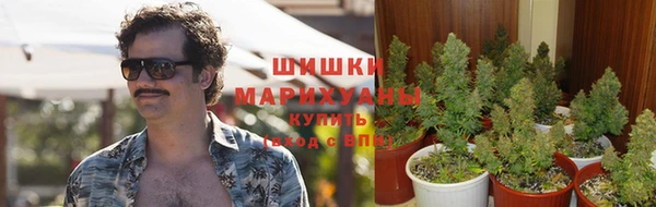 марки lsd Инсар