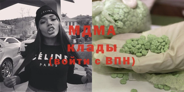 индика Каменка