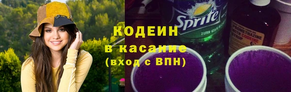 индика Каменка