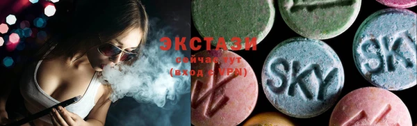 индика Каменка