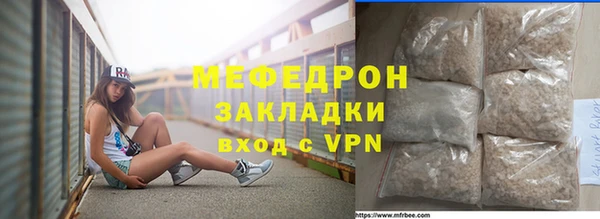 индика Каменка