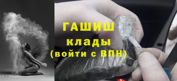 индика Каменка