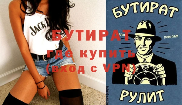 индика Каменка