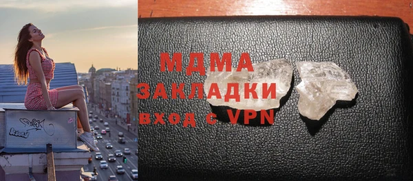 индика Каменка