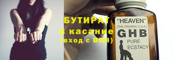 индика Каменка