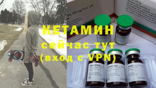 индика Каменка