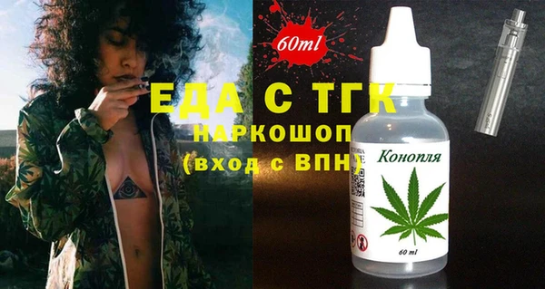 индика Каменка
