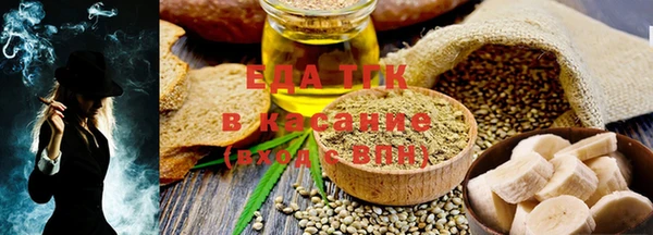 индика Каменка