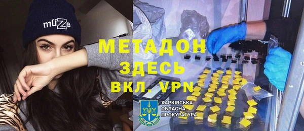 индика Каменка