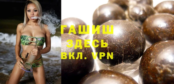 индика Каменка