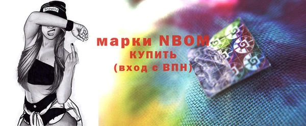 индика Каменка