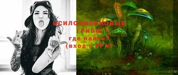 МДПВ Каменск-Шахтинский