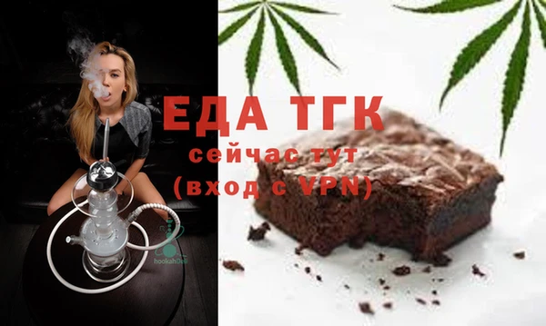 индика Каменка