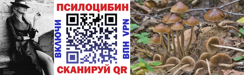 Купить где  Губкинский  Галлюциногенные грибы GOLDEN TEACHER 